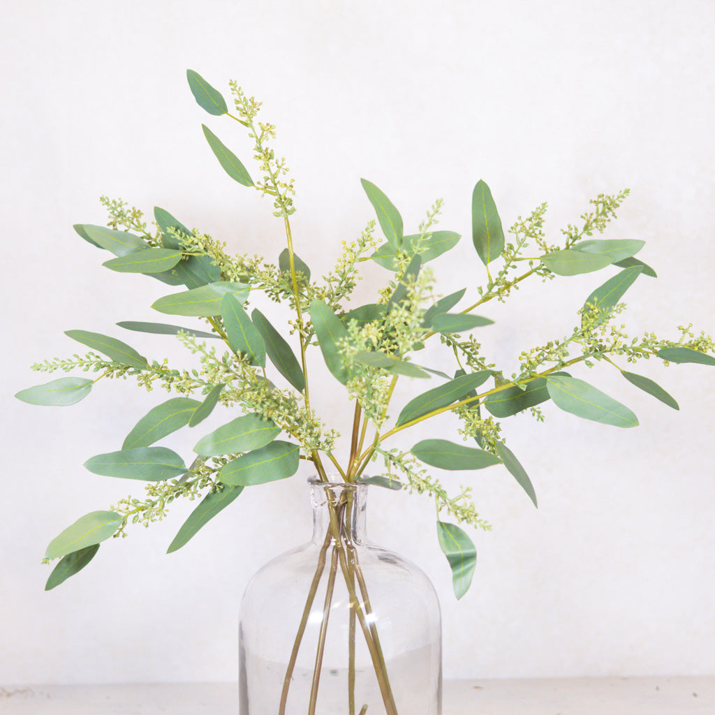 Long Seed Finger Eucalyptus Spray