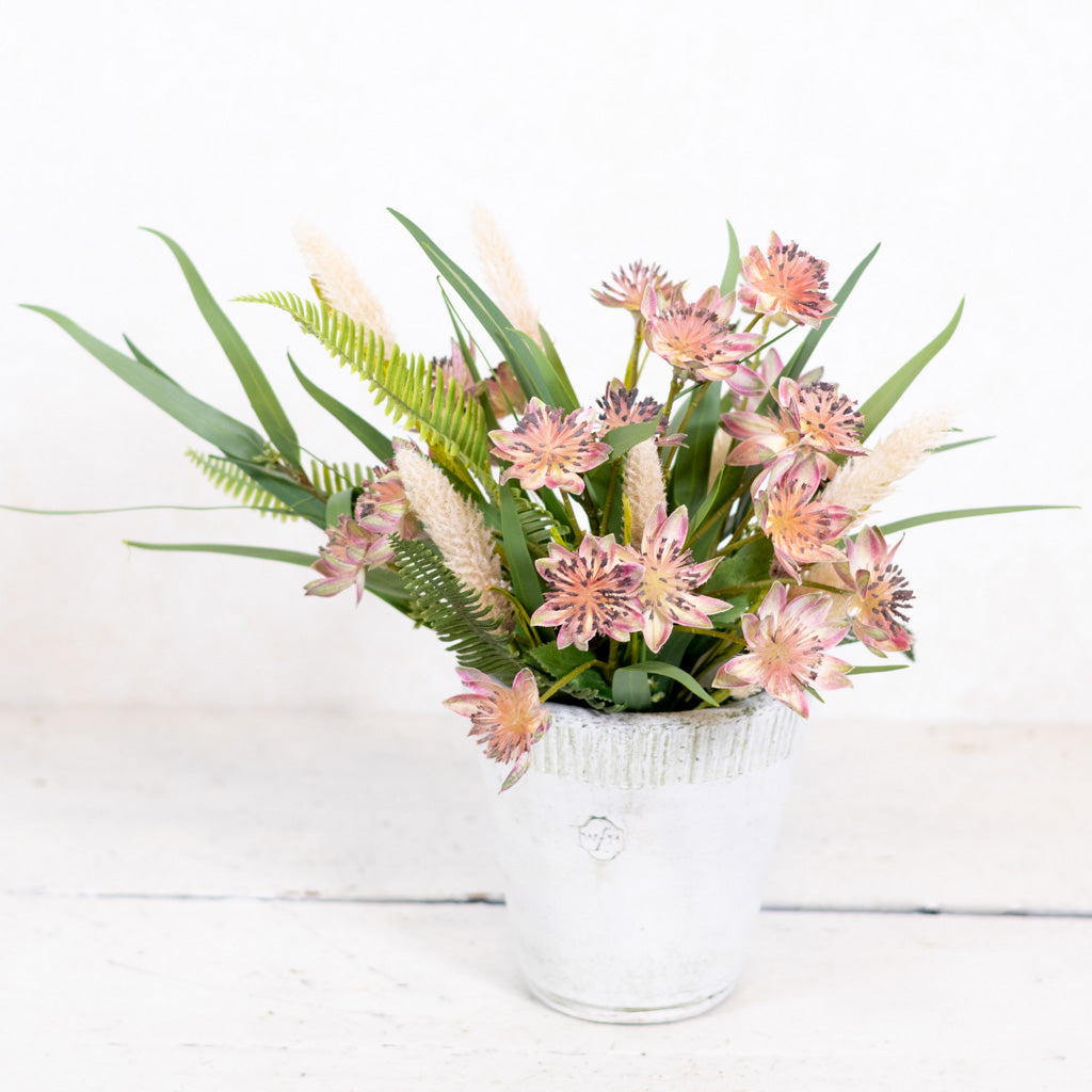 Armeria Bouquet Drop In