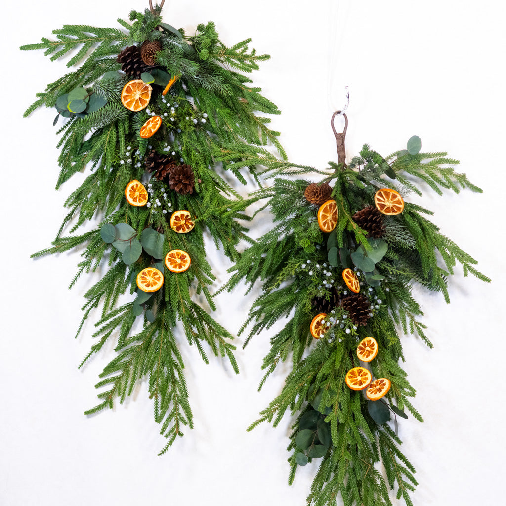 Orange Grove Evergreen Down Drop