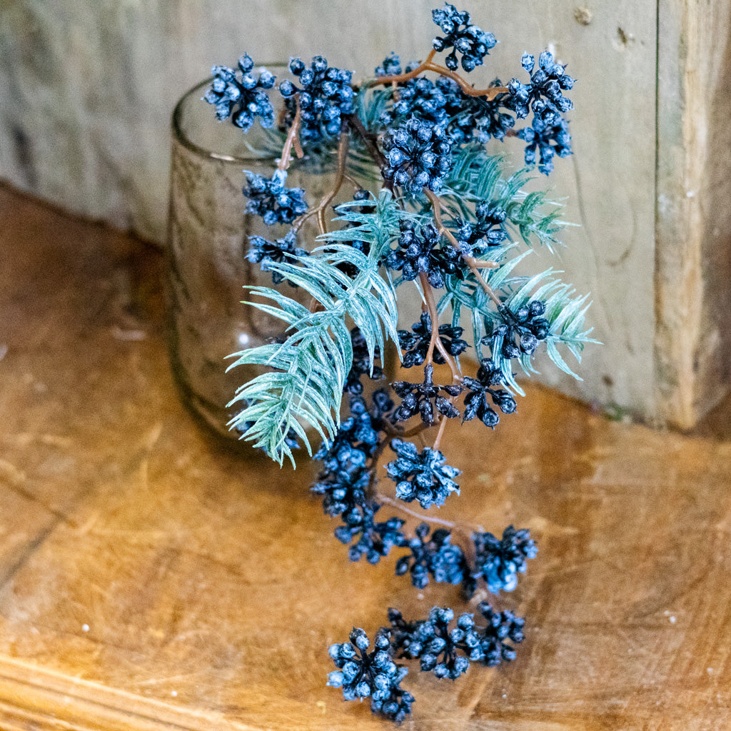 Spruce and Mini Blue Berry Pick