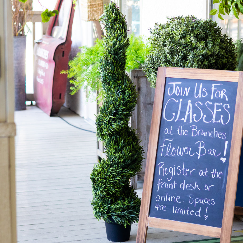 UV Rosemary Spiral Tree in Pot 4 ft