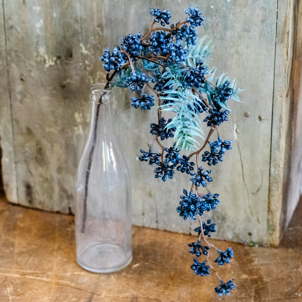 Spruce and Mini Blue Berry Pick