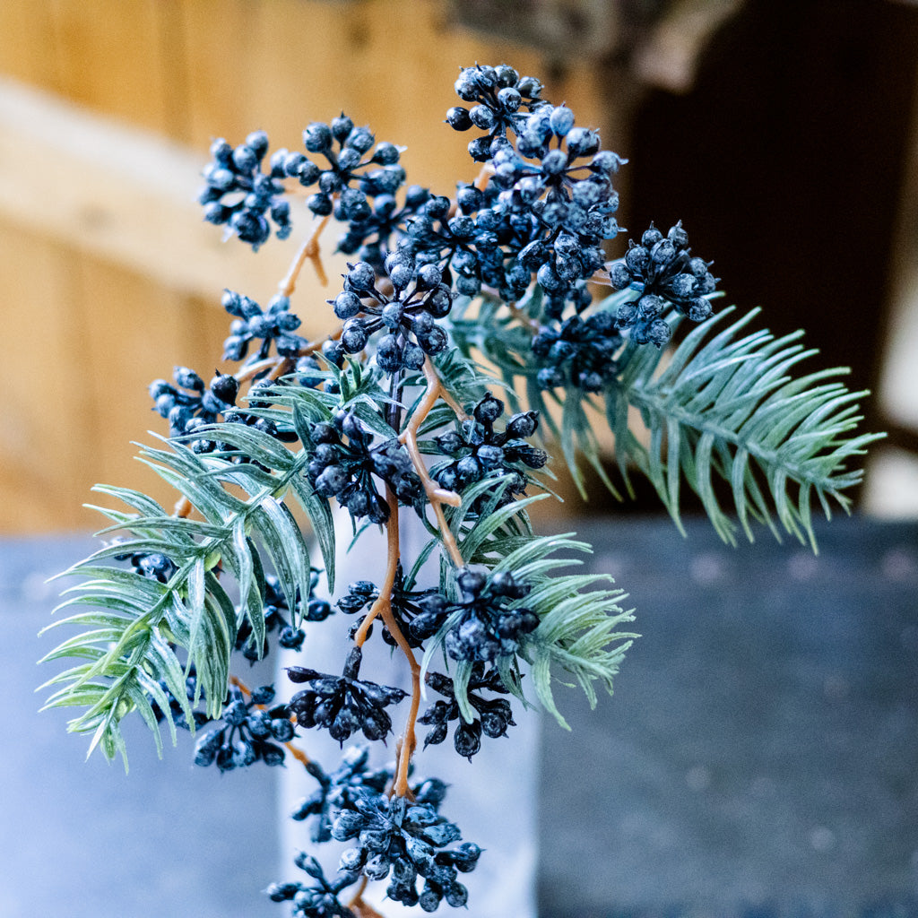Spruce and Mini Blue Berry Pick