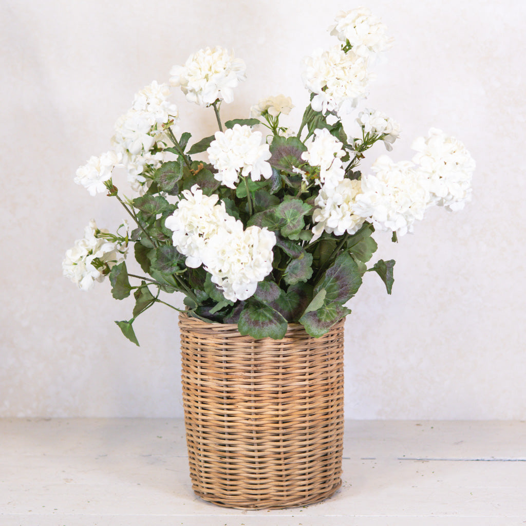 Double White Geranium Moss Pot Drop In