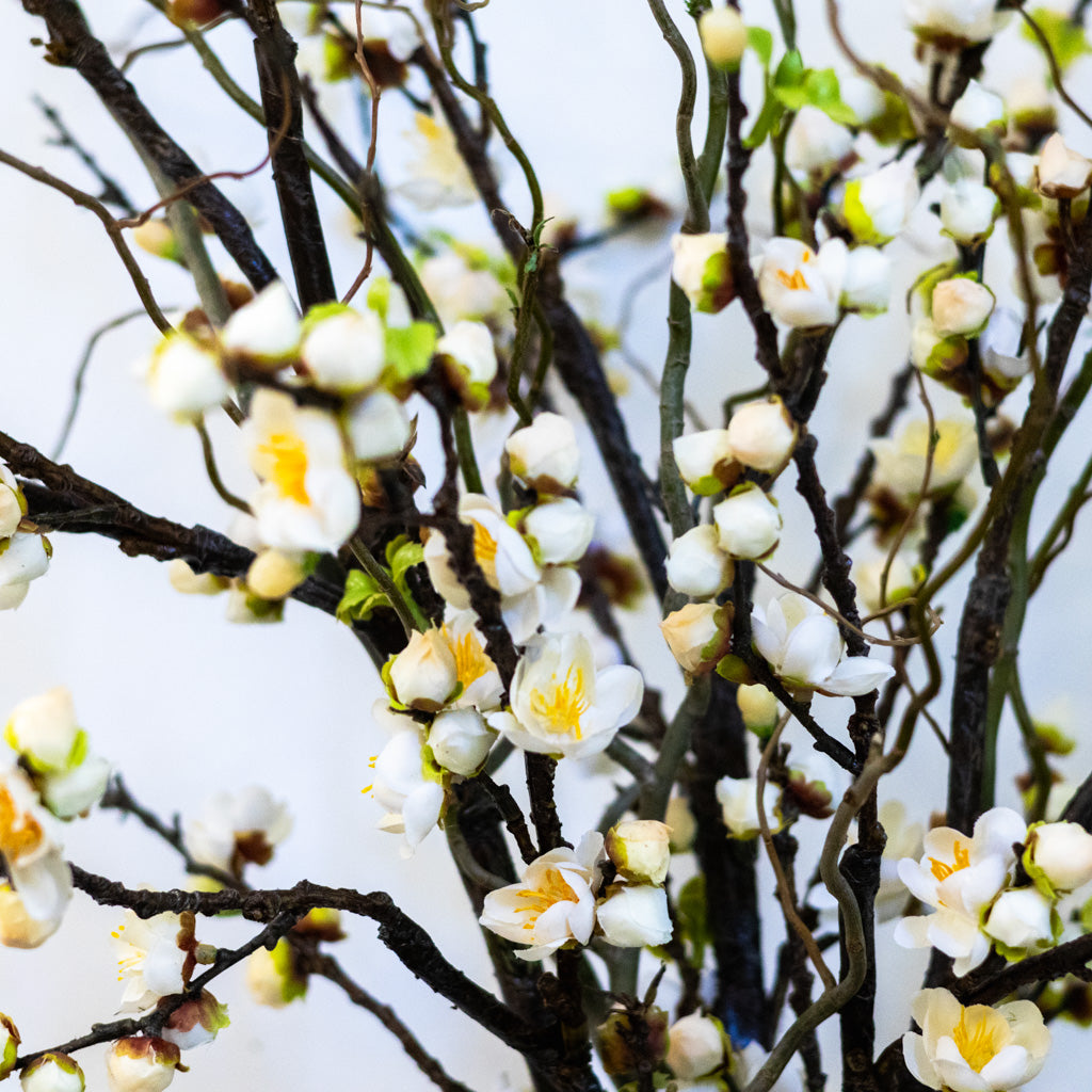 Early Blossom Bouquet Drop in