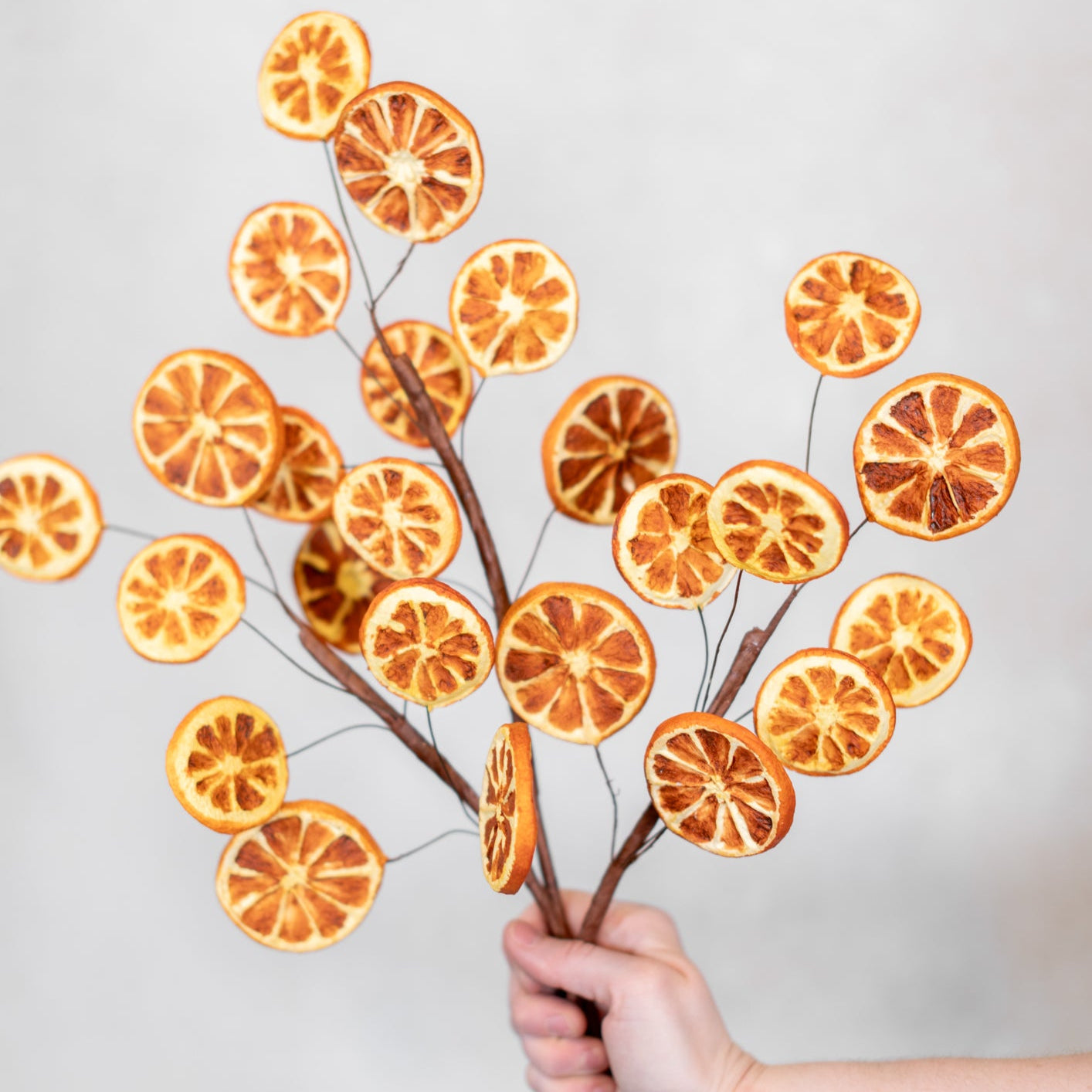 Orange Slice Spray