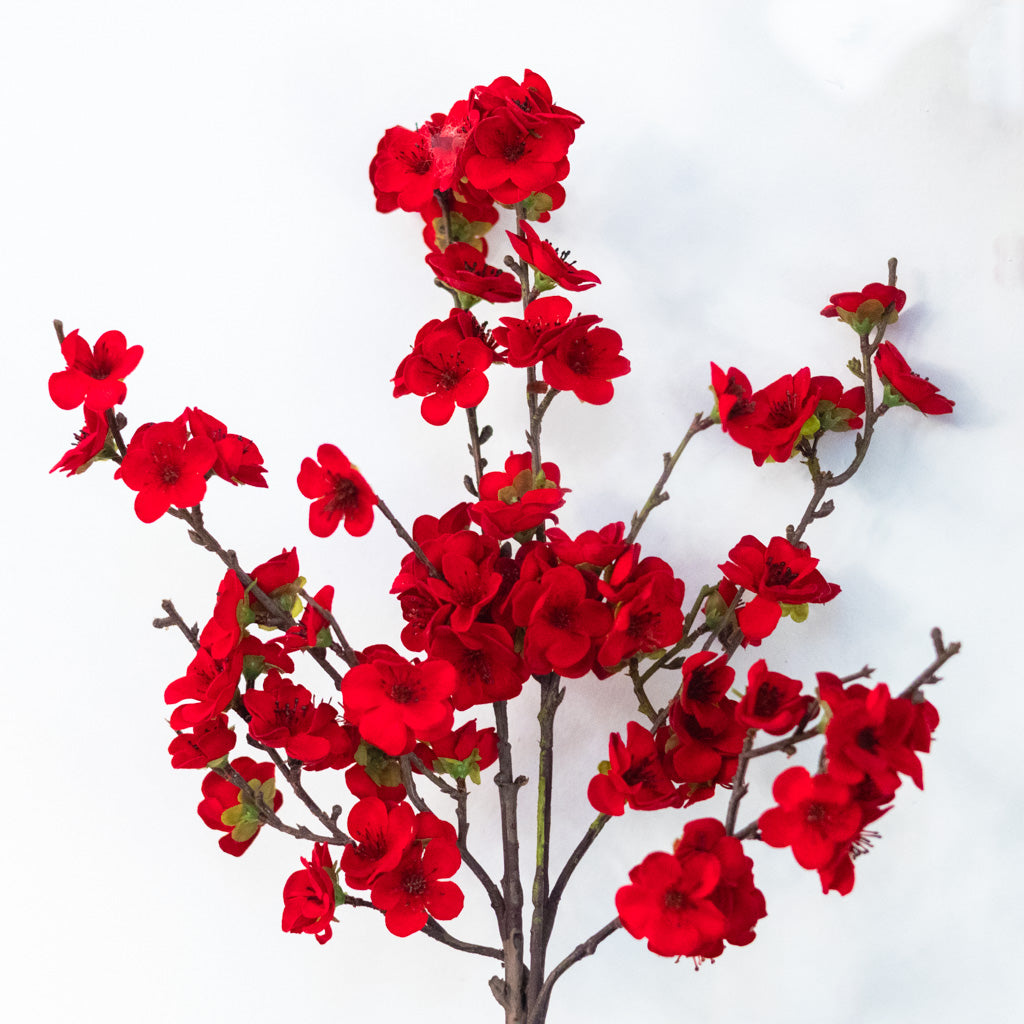 Christmas Balsam Red Spray