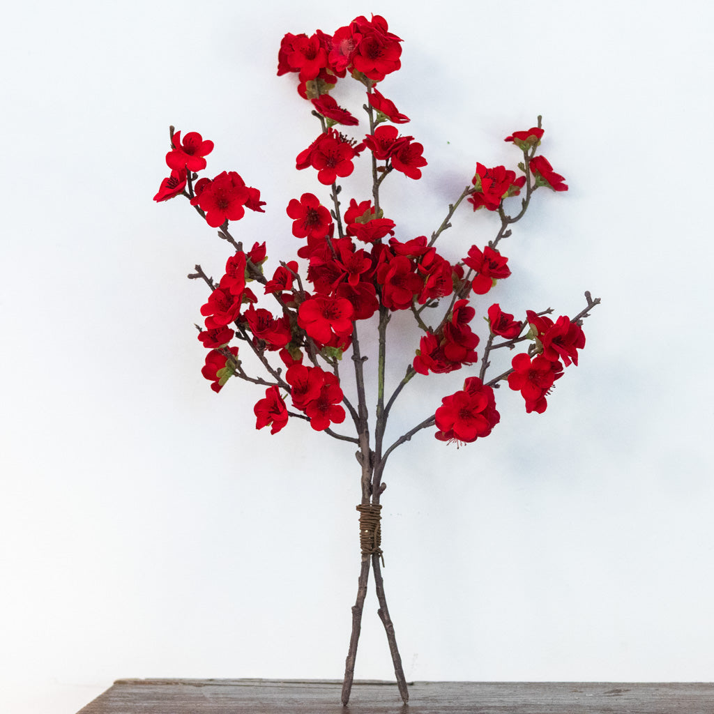 Christmas Balsam Red Spray