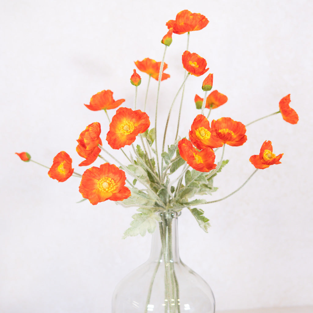 Flame Poppy Spray Stem