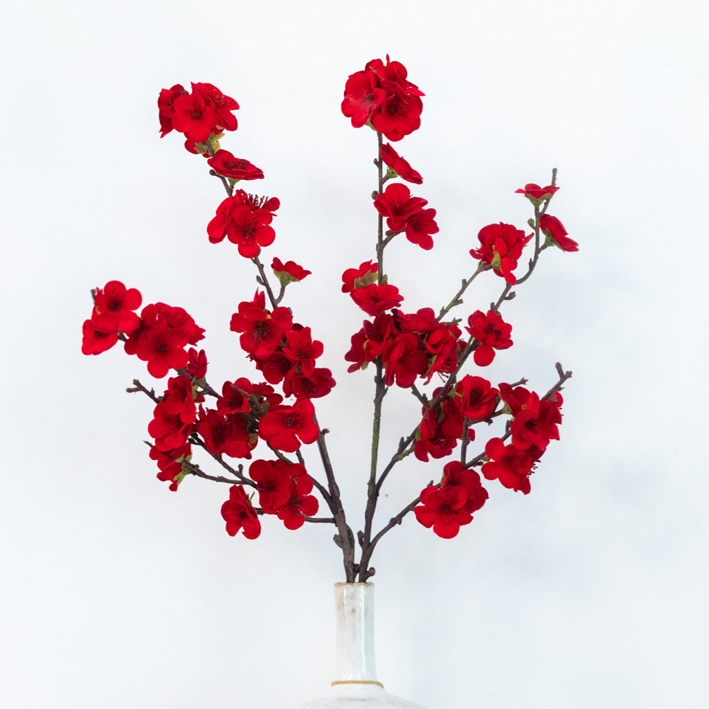 Christmas Balsam Red Spray