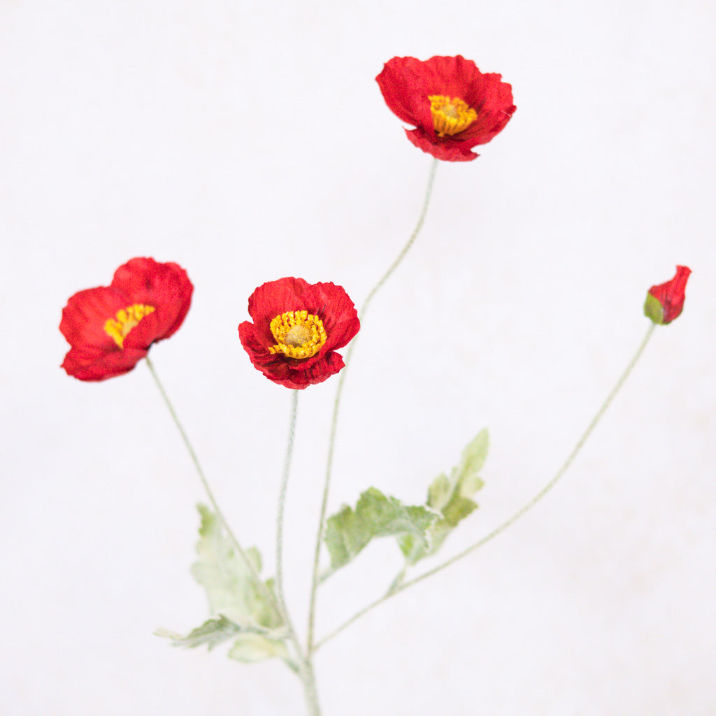 Red Poppy Spray Stem