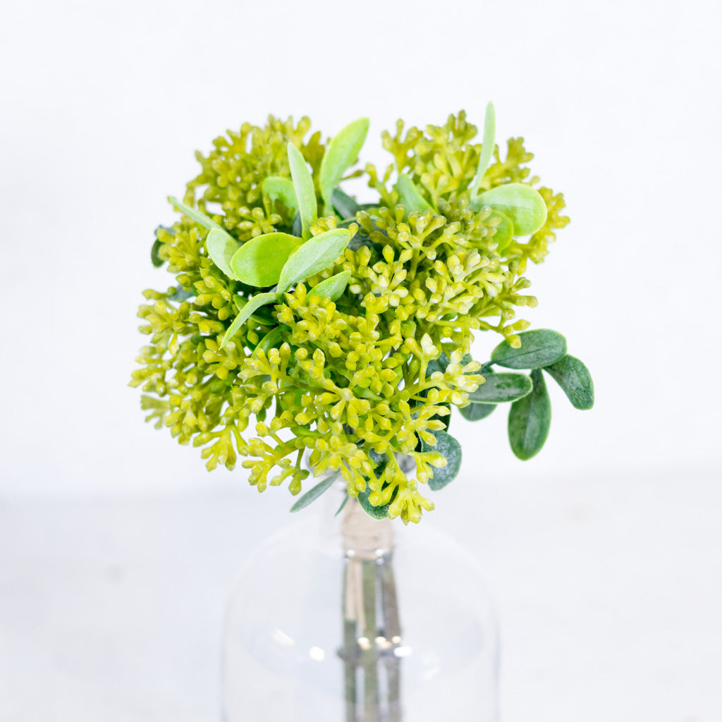 Eucalyptus Green Berry Bundle