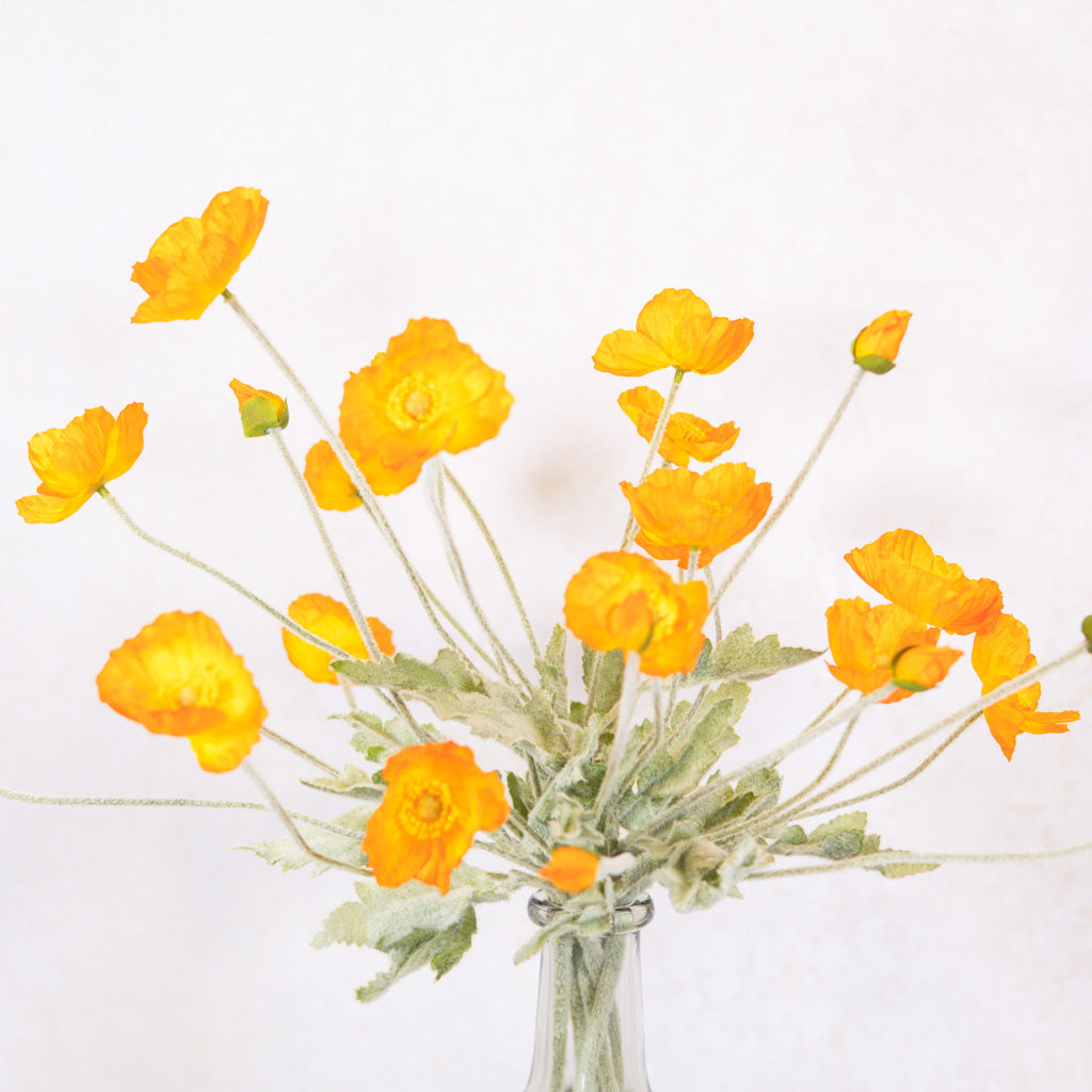 Bright Orange Poppy Spray Stem