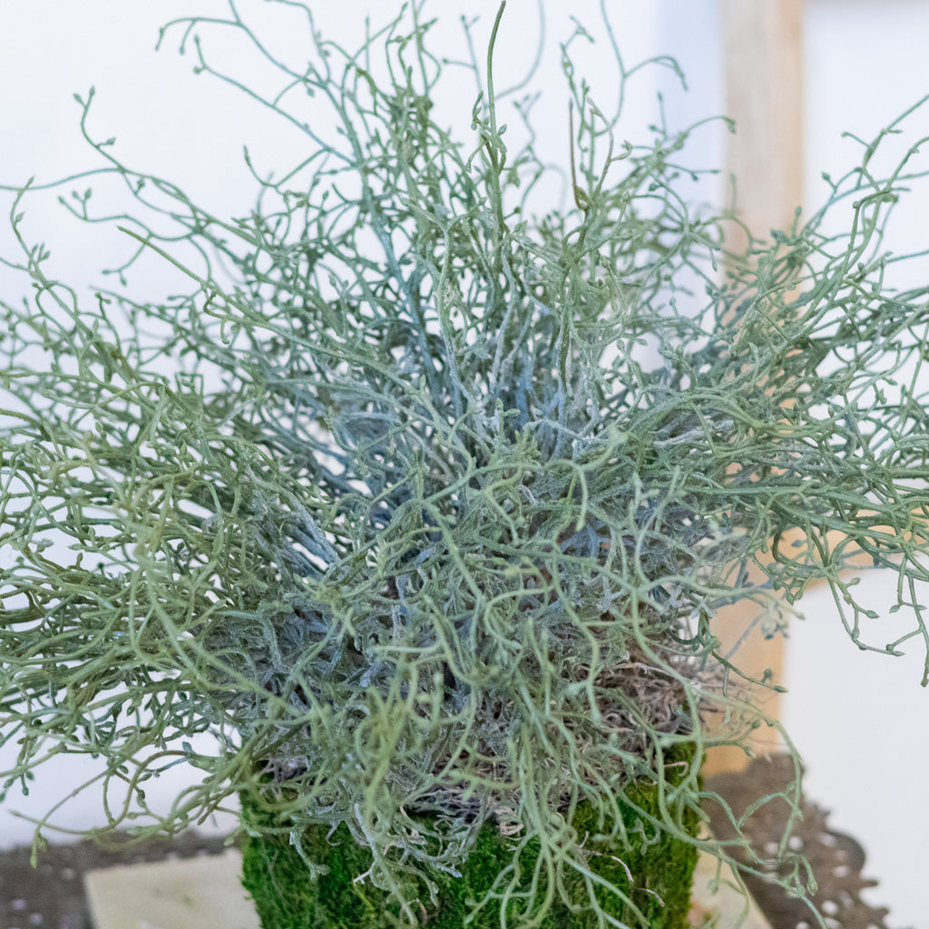 Green Budding Bush Drop In