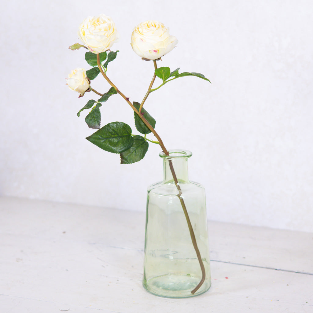 Just Cut Floribunda Rose and Bud Cream Blush