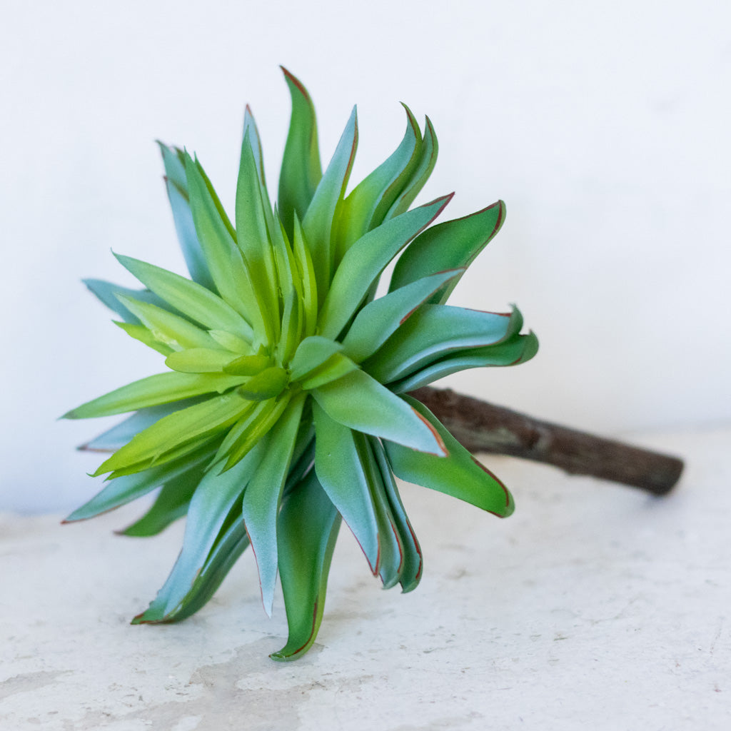 Sword Succulent Pick