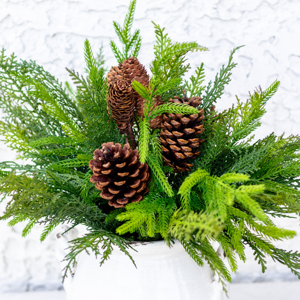 Pine Cone and Mixed Pine Bundle