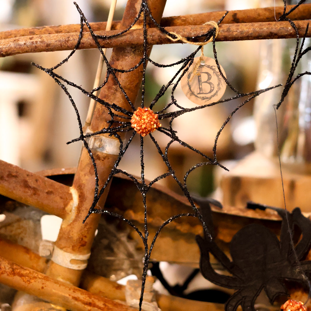 Small Spider Web