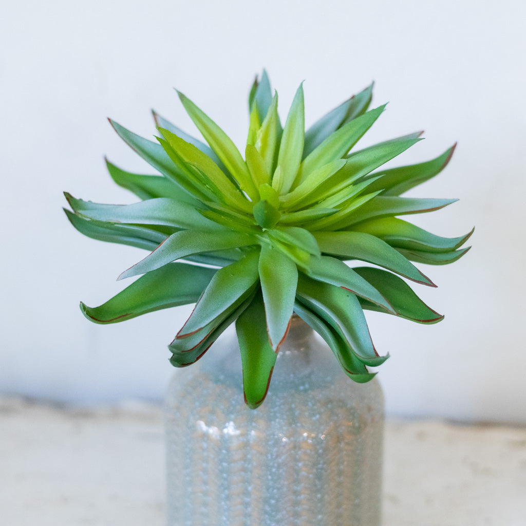 Sword Succulent Pick