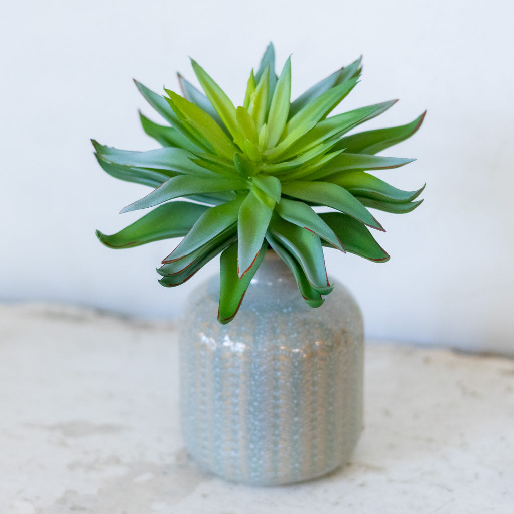 Sword Succulent Pick