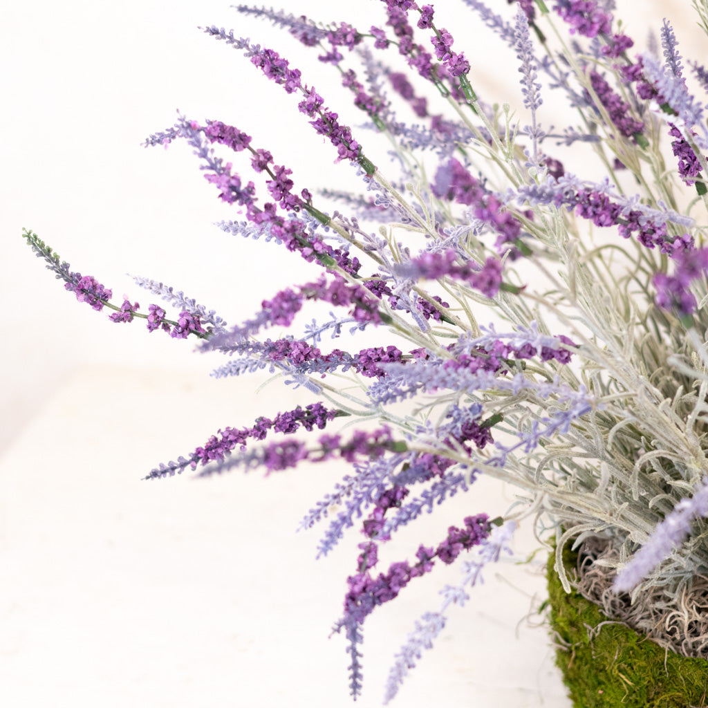 Large Lavender Moss Pot Drop In