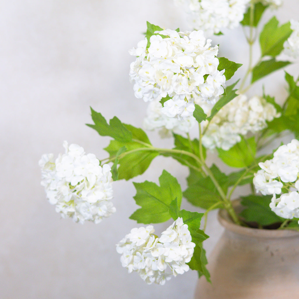 White Snowball Natural Touch Spray