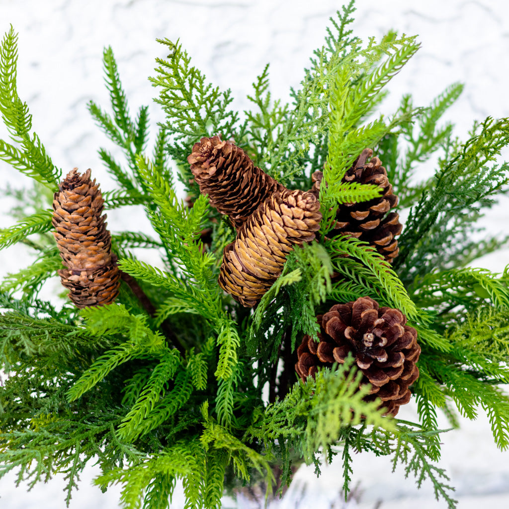 Pine Cone and Mixed Pine Bundle