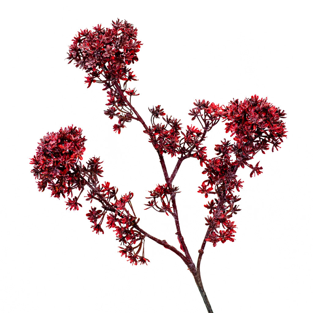 Wine Viburnum Spray