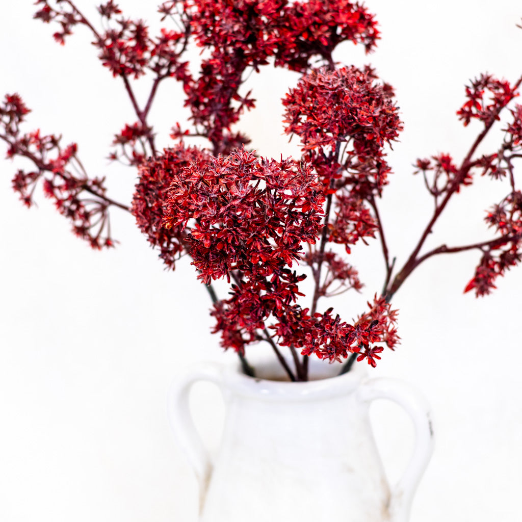 Wine Viburnum Spray