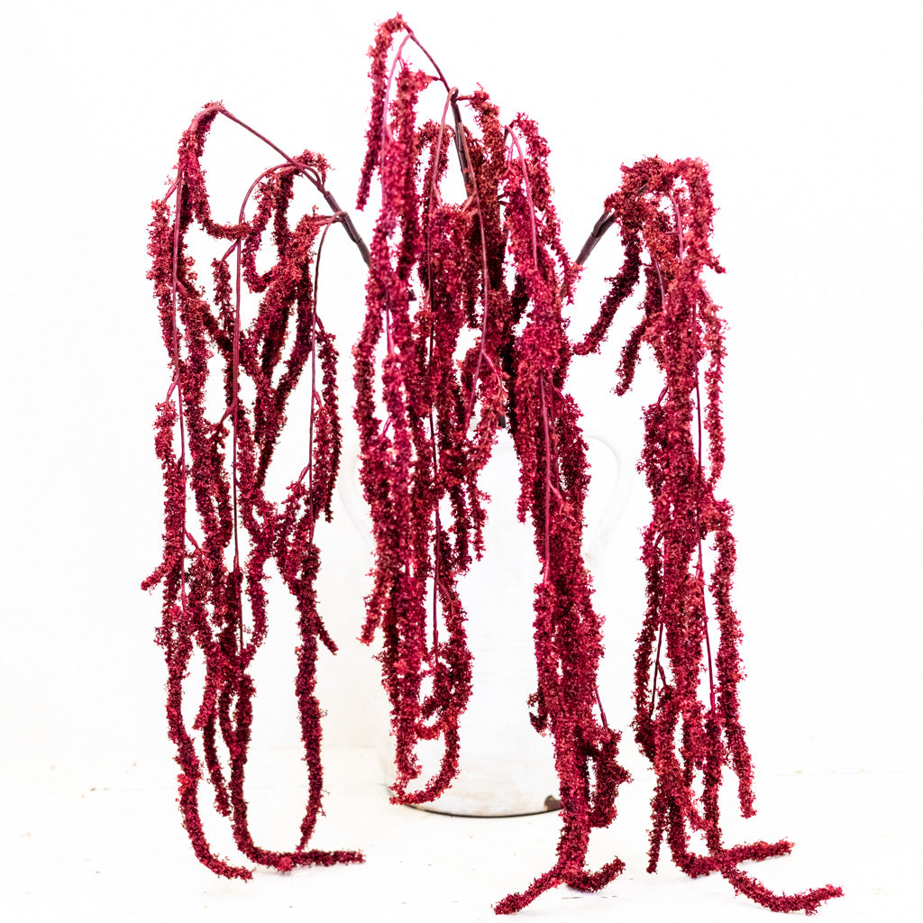 Wine Amaranthus Hanging Spray