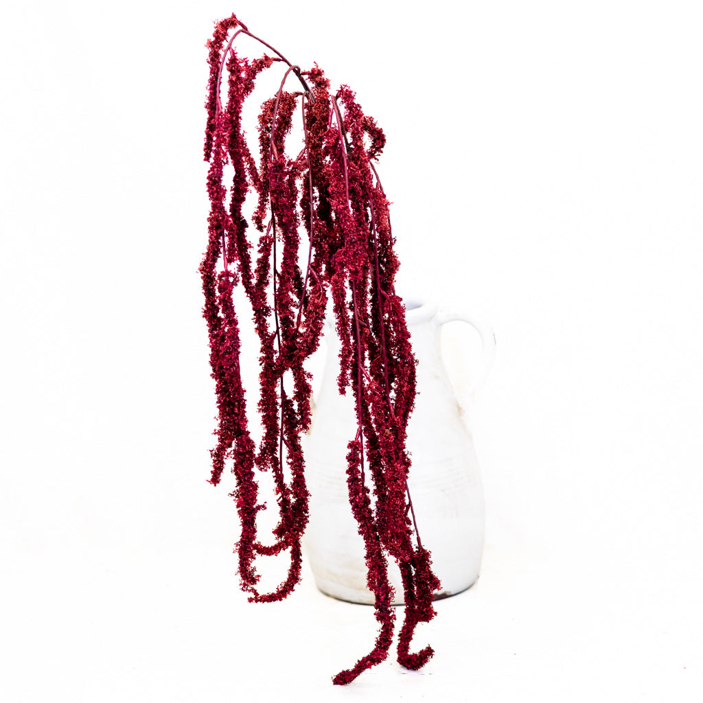 Wine Amaranthus Hanging Spray