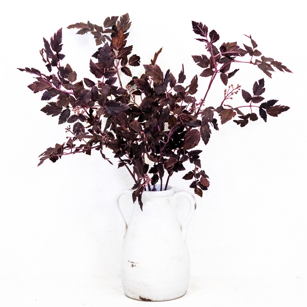 Autumn Wine Ruscus with Berry Spray