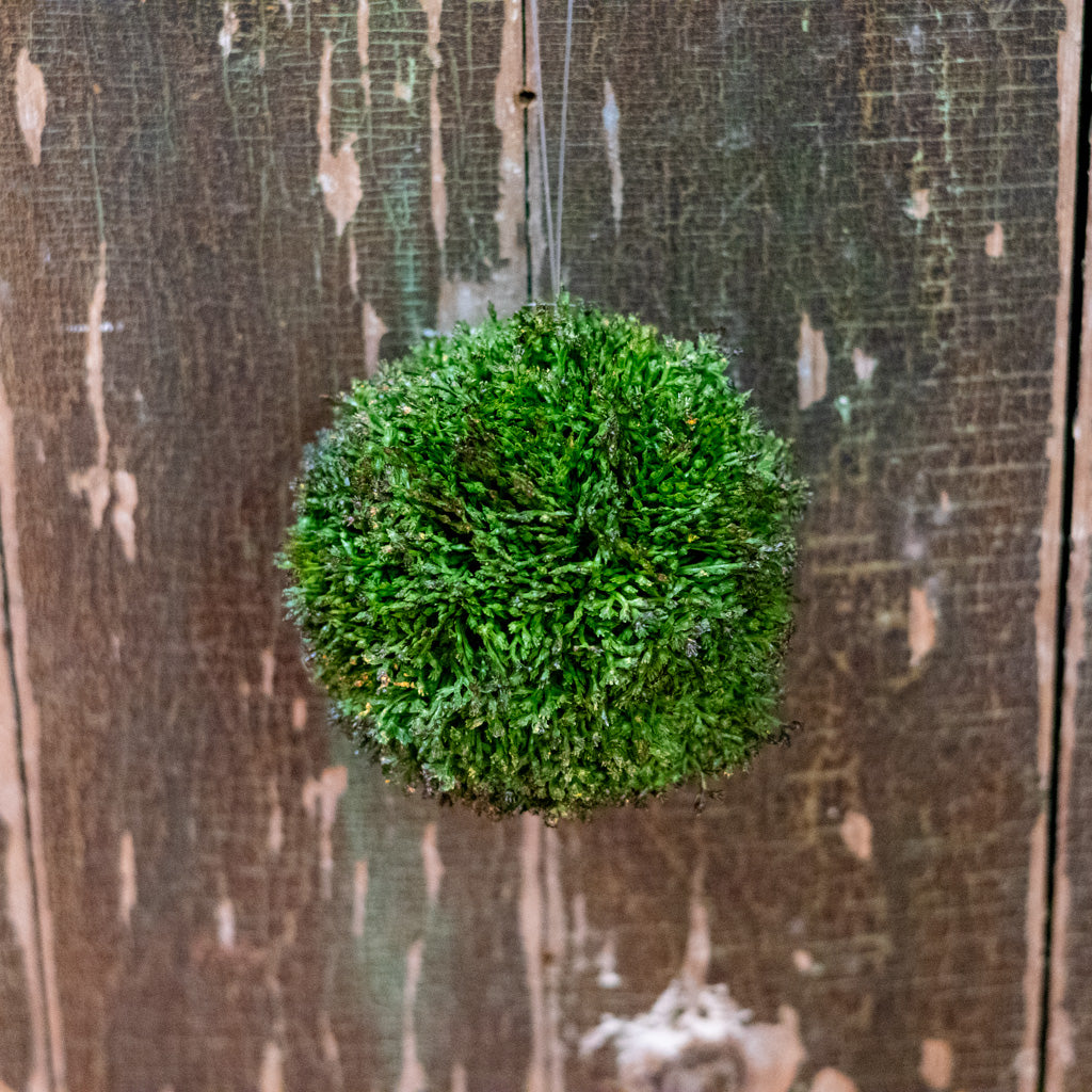 Medium Sedum Ball