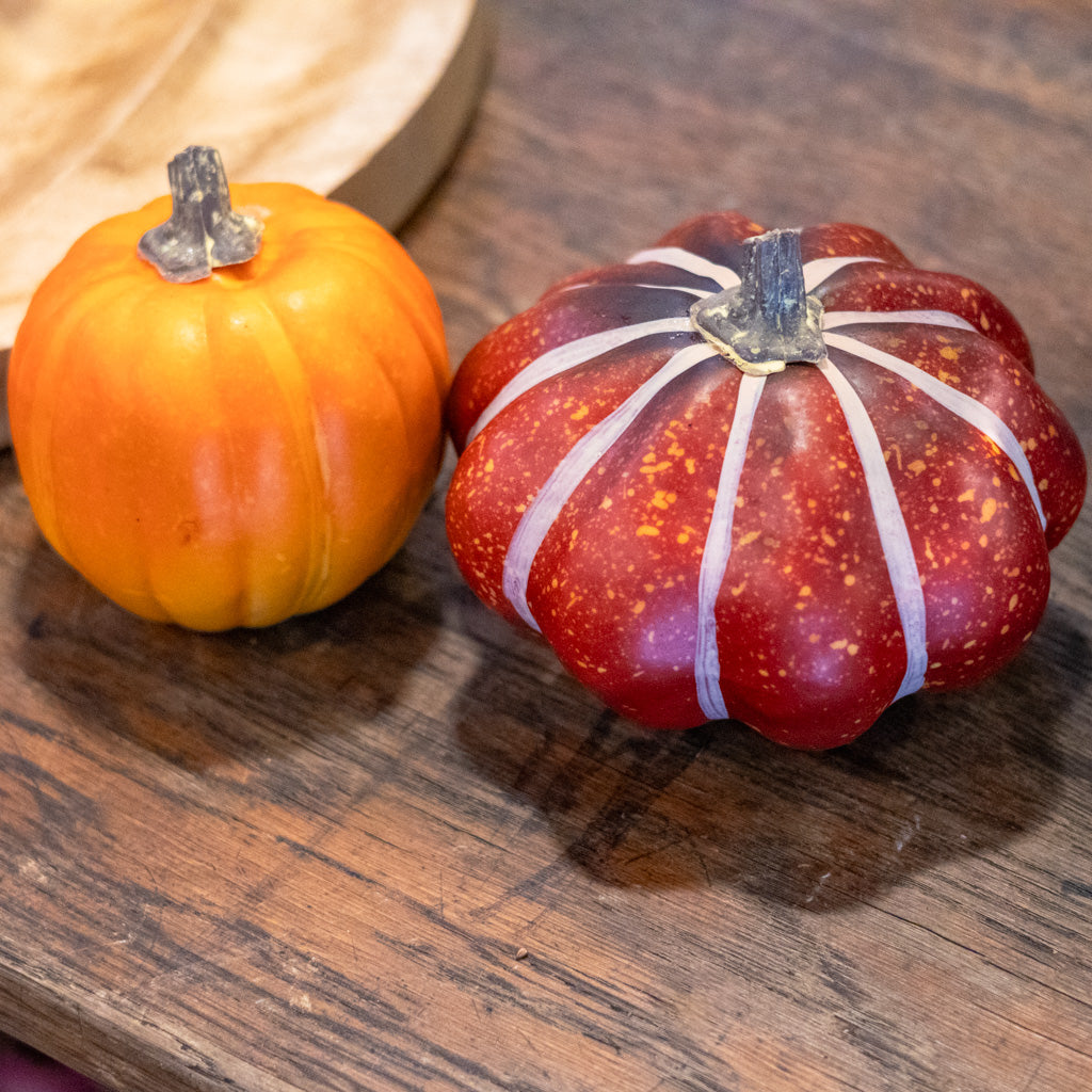 Bag of Six Pumpkins and Gourds