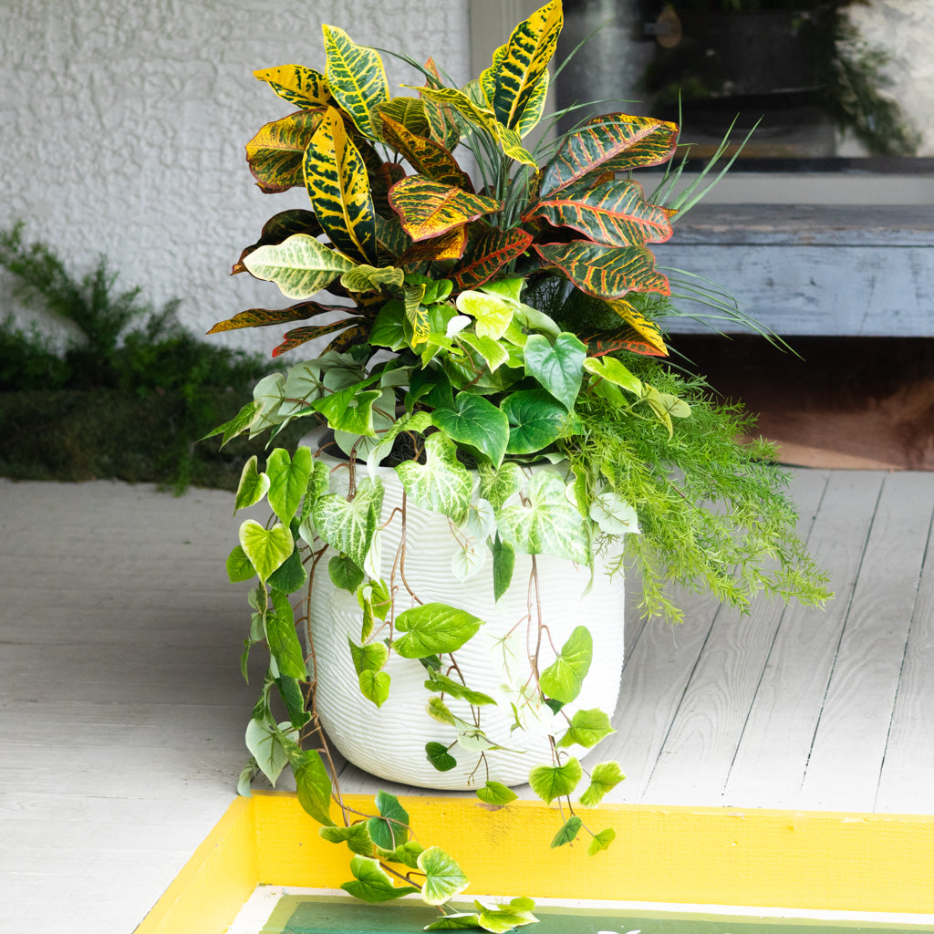 Mixed Greens and Croton Planter Drop In