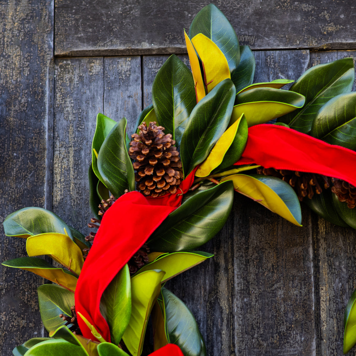 30"D Regal Magnolia Wreath