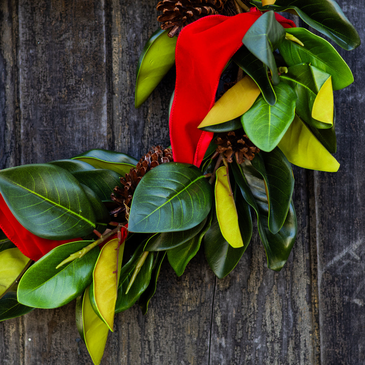 30"D Regal Magnolia Wreath