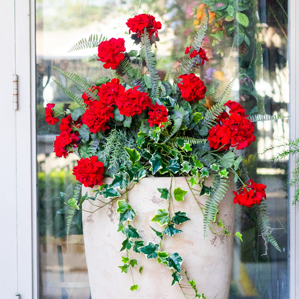 Heritage Red Geranium Drop In