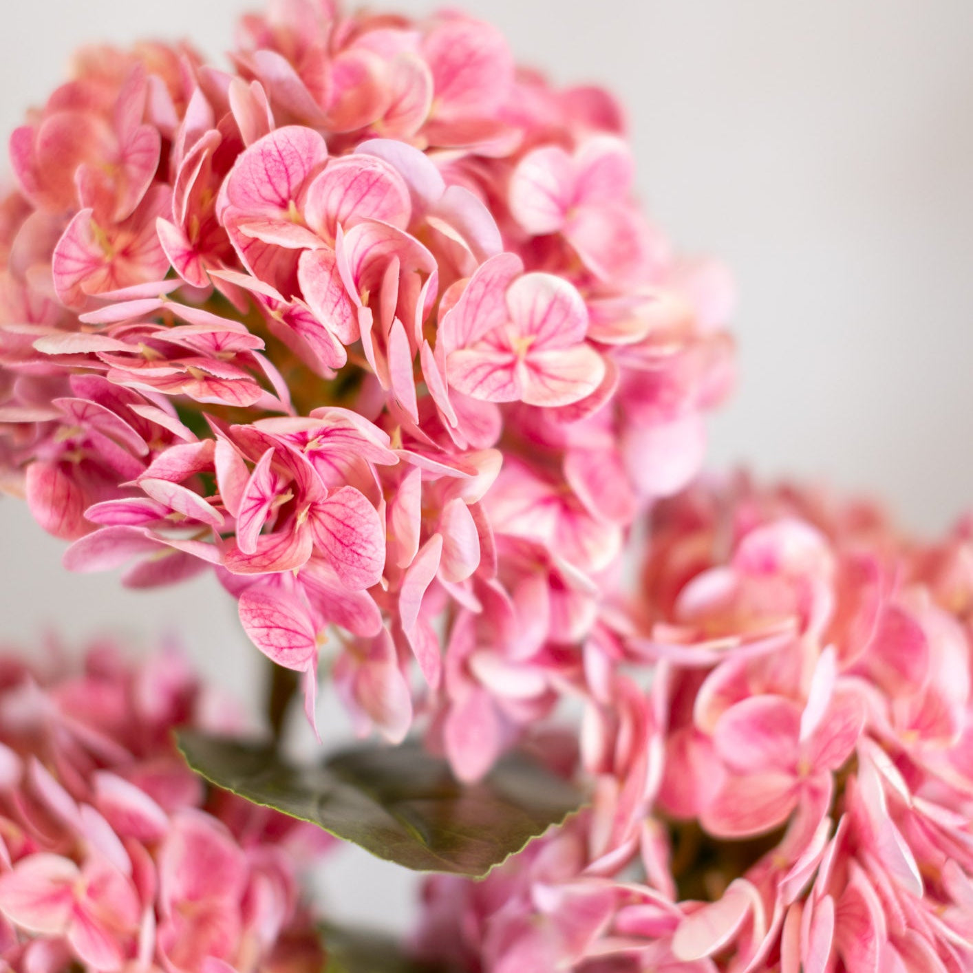Hot Pink Hydrangea Single Real Touch