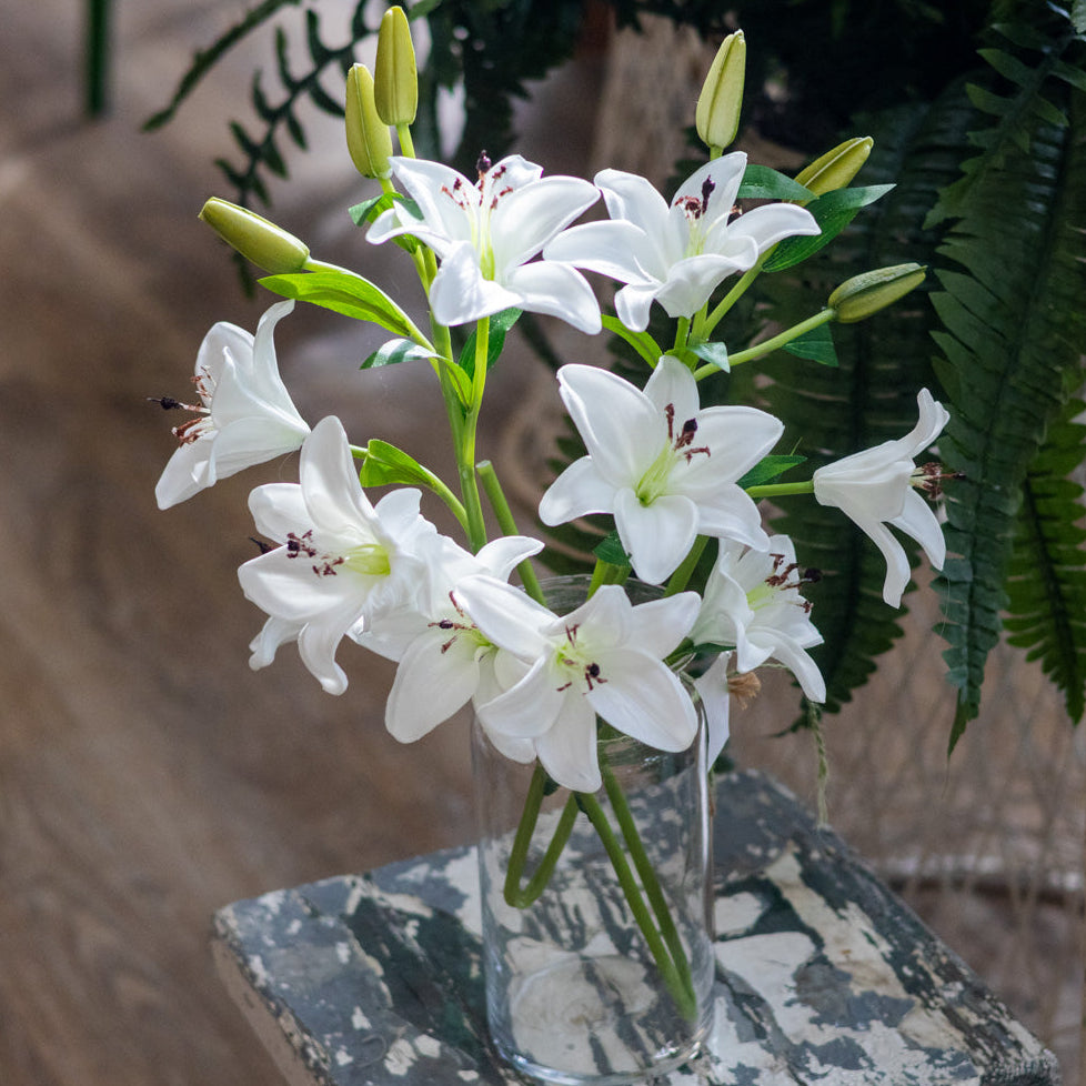 White Lily with Five Blooms and Three Buds Stem