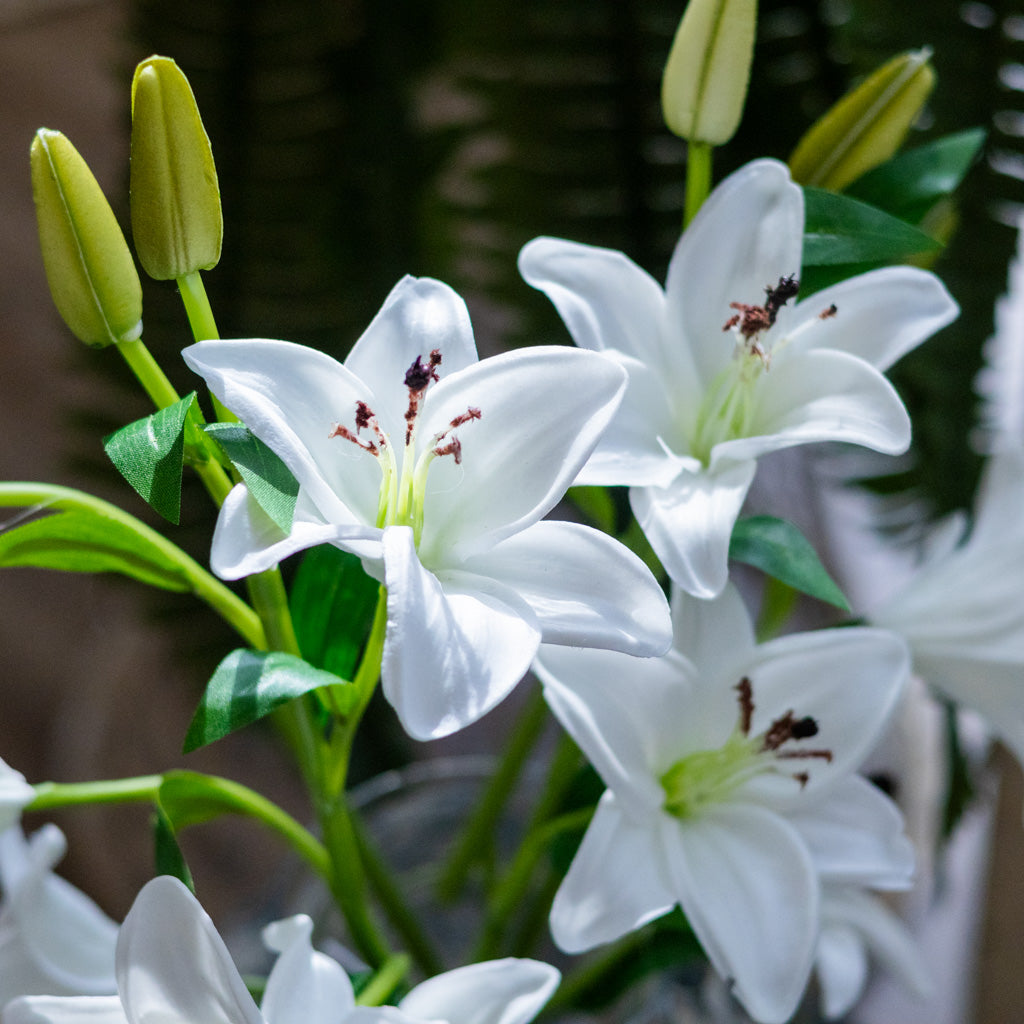 White Lily with Five Blooms and Three Buds Stem
