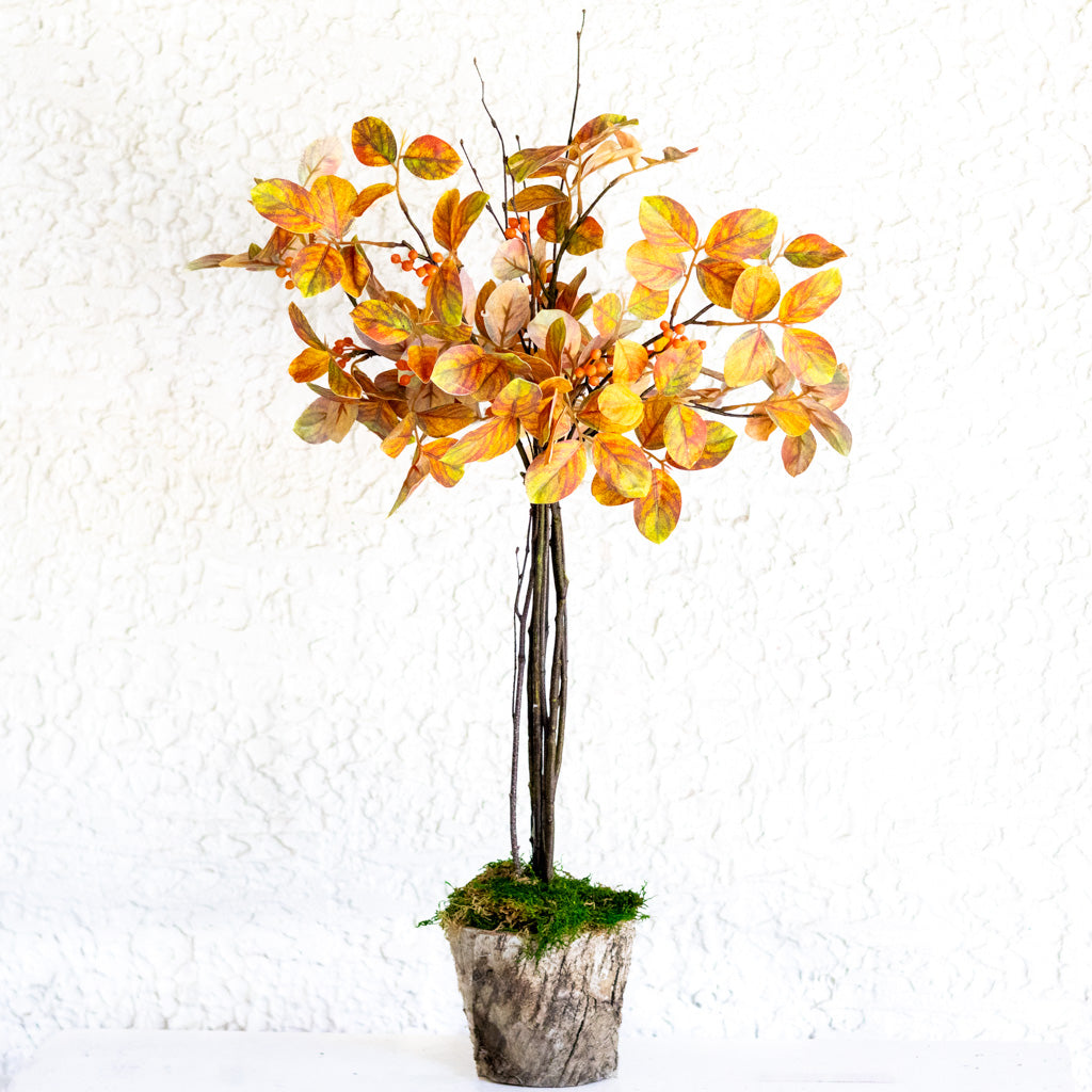 Autumn Myrtle Topiary