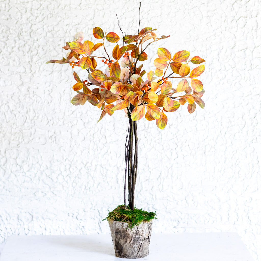 Autumn Myrtle Topiary