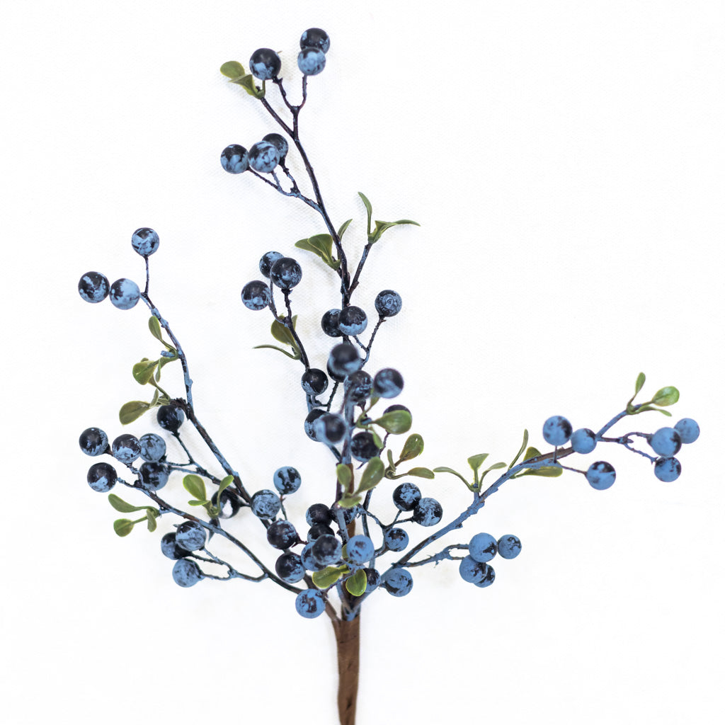 Jersey Blueberry Spray Weather Resistant