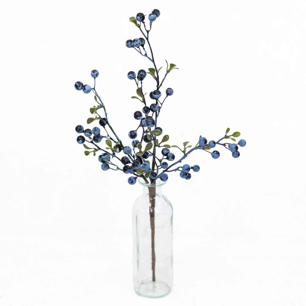 Jersey Blueberry Spray Weather Resistant
