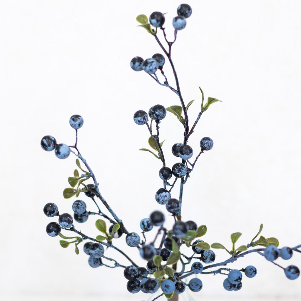 Jersey Blueberry Spray Weather Resistant