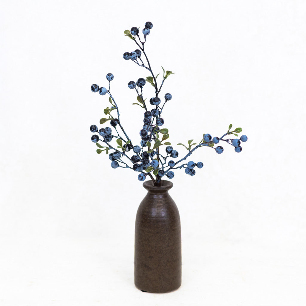 Jersey Blueberry Spray Weather Resistant