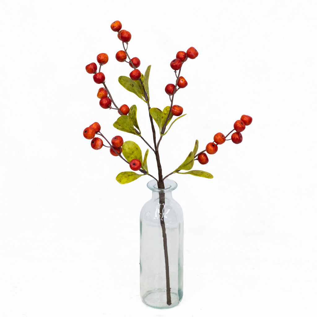 Hawthorn Orange Berry Stem Weather Resistant