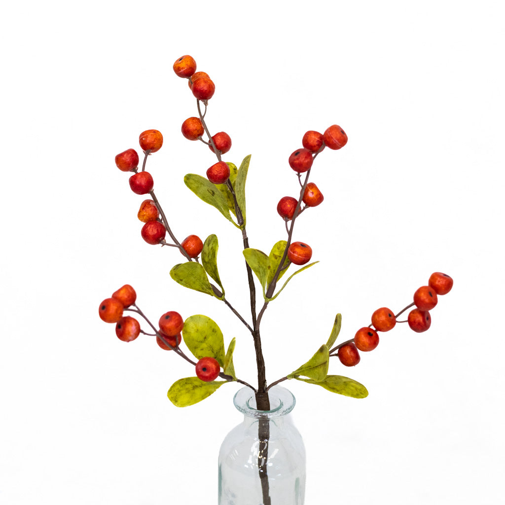 Hawthorn Orange Berry Stem Weather Resistant