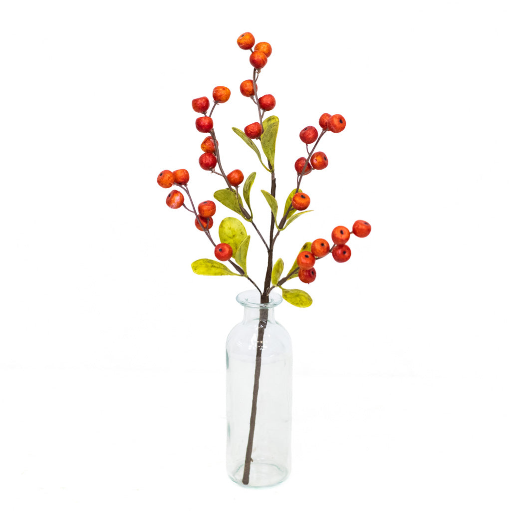 Hawthorn Orange Berry Stem Weather Resistant